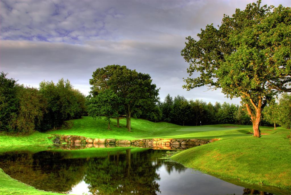 Mount Wolseley Hotel Spa & Golf Resort Tullow Exterior foto